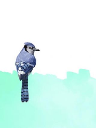 Bird On Blue
