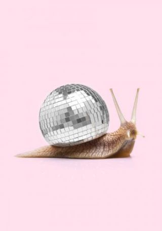 Disco Snail