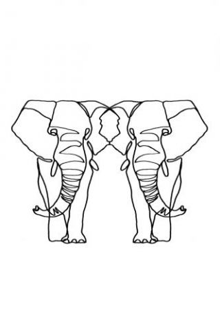 Elephant Lines