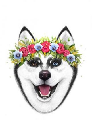 Husky With Flowers