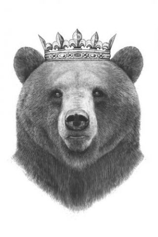 King Bear