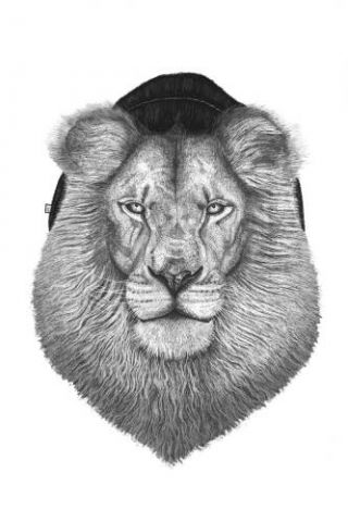 Lion In Hat