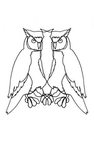 Owl Lines