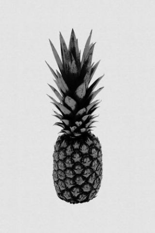 Pineapple Black & White
