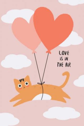 Love Is In The Air Cat