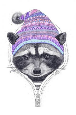 Raccoon In A Hood