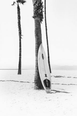 Surfboard BW