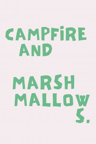 Campfire and Marshmallows 89
