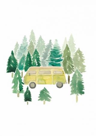 Adventure Van Woods