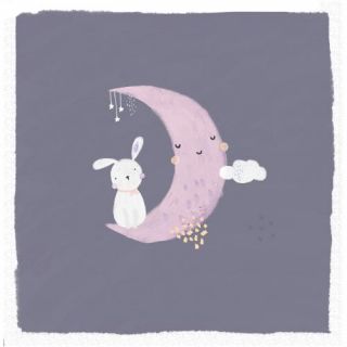 Baby Bunny And Moon B