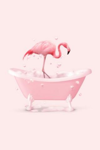 Bathtub Flamingo