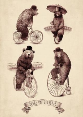 Bears On Bicycles