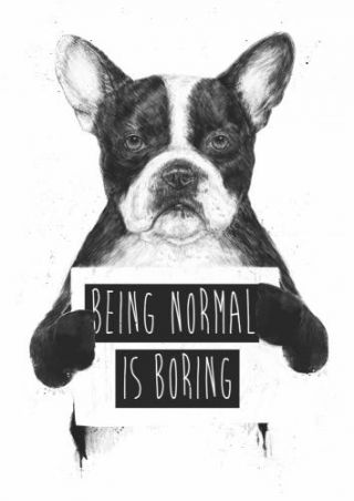 Being Normal Is Boring