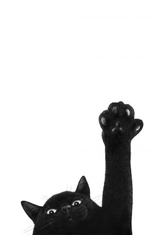 Black cat with paw