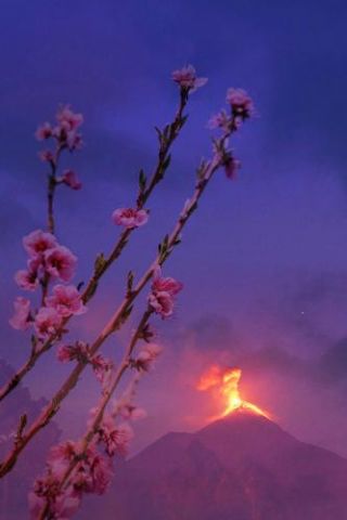 Blooming Volcano In Japan