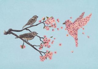 Blossom Bird 