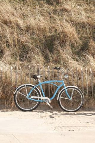 Blue Beach Bike In Holland