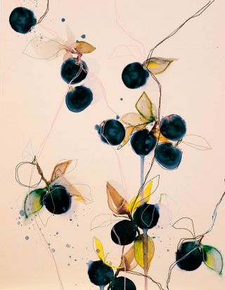 Blueberries 01