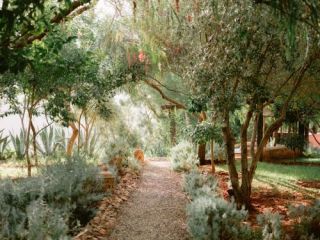 Botanical Road Through Paradise Ii
