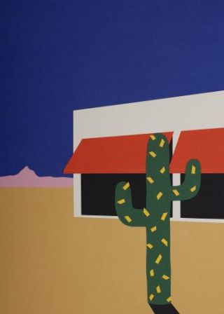 Boutique With Cactus