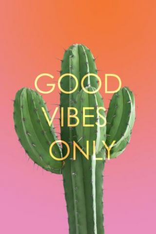 Cactus Positive Vibe