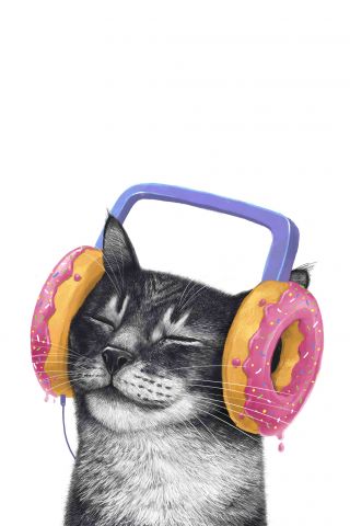 Cat with headphones