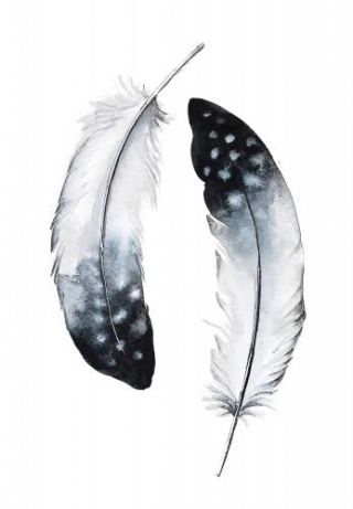 Feathers I