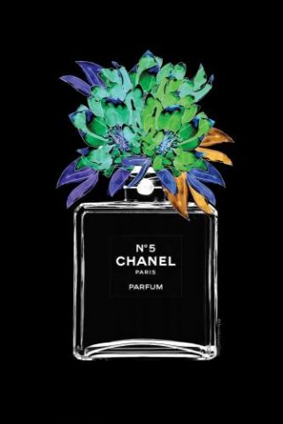 Exotic Chanel