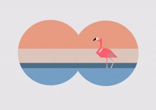 I Spy, Flamingo