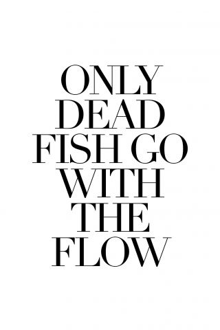 Only Dead Fish go with the flow