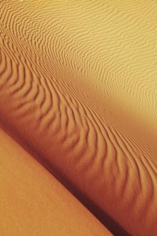 Desert Shapes