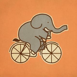 Elephant Cycle 