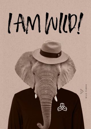 Elephant Poster