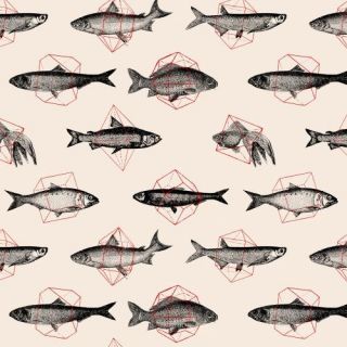 Fishes In Geometrics