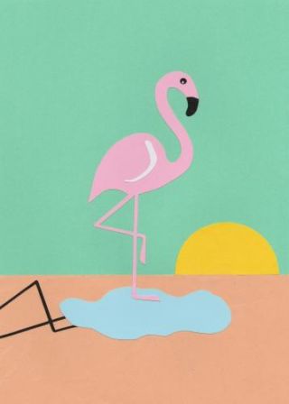 Flamingo Herbet