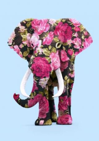 Floral Elephant 