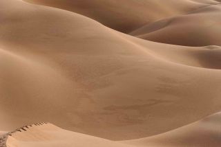 footsteps on a sand dune