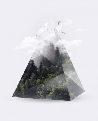 Forest Triangle