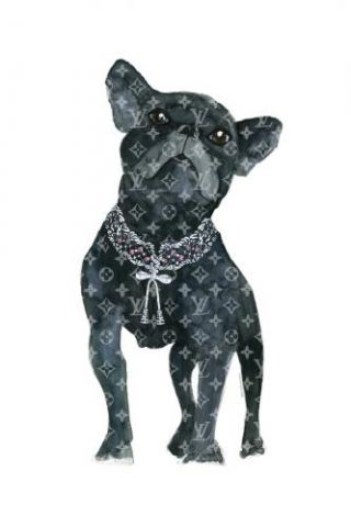 Frenchie Fashion Dog