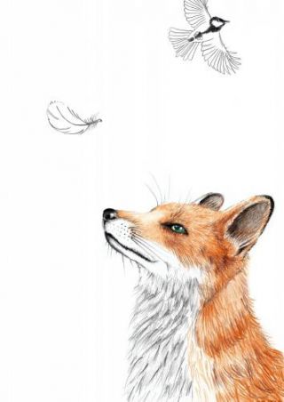 Fox With Feather