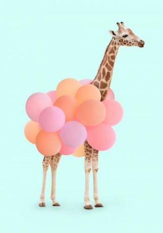 Giraffe Balloon2