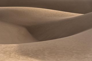 Golden dune in the desert