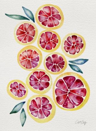 Sliced Grapefruits Watercolor