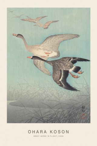 Great Geese In Flight (SE) - Ohara Koson