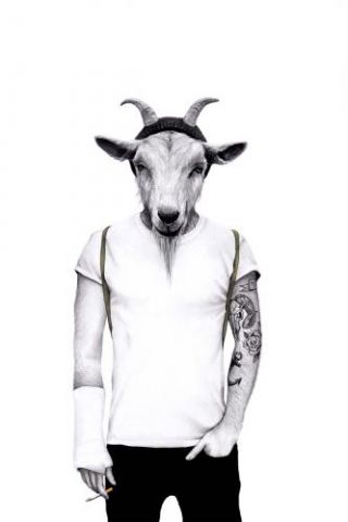 Hipster Goat