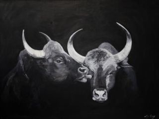Kissing Bulls