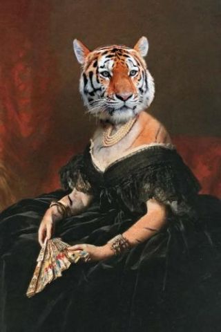 Lady tiger