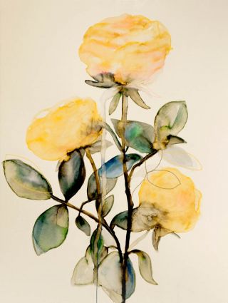 Lemon rose