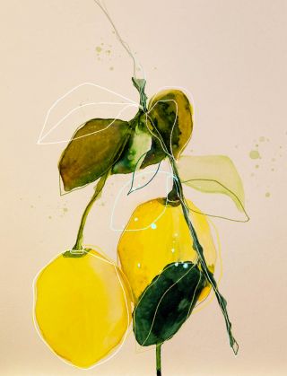 Lemon study 02 olive