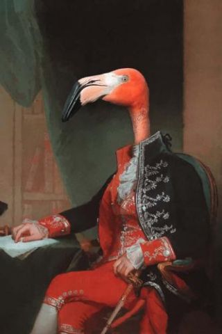 Lord Flamingo